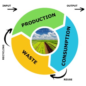 L’agricoltura biologica al centro dell’economia circolare